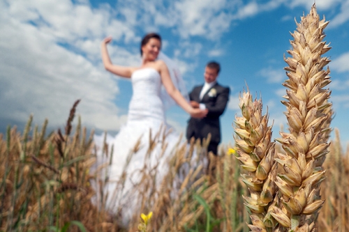 Foto paslaugos, fotografija Vestuvių fotografija