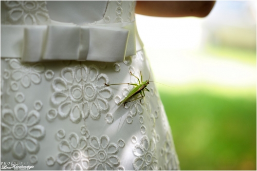 Foto paslaugos, fotografija "linaart" Lina Kavaliauskytė