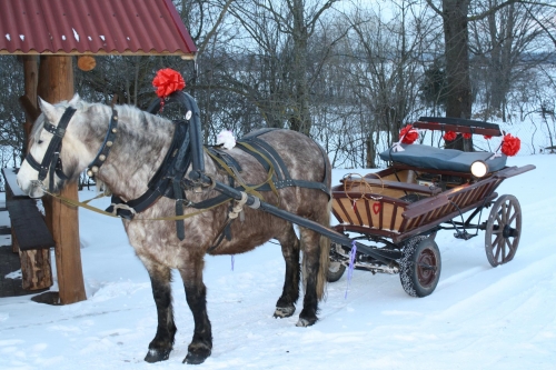 Restoranai, kavinės, barai Jus kviečia Dvarykščių sodyba,esanti tik 8km už Vilniaus!