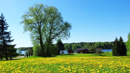 Sodybos, dvarai, vilos PAS ŠEŠTOKĄ Vilos Sodybos Nuoma Vestuvėms iki 80 vietų 