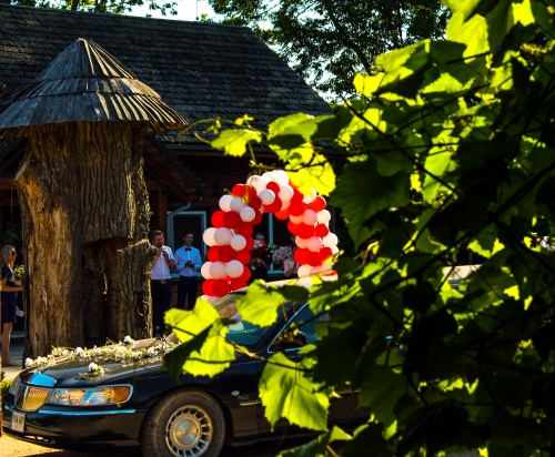 Sodybos, dvarai, vilos Vestuvės sodyboje "SVAJONIŲ DVARAS"!