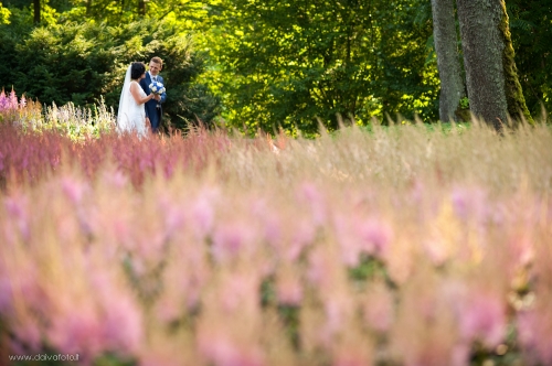 Foto paslaugos, fotografija Fotografė Daiva Bareikaitė