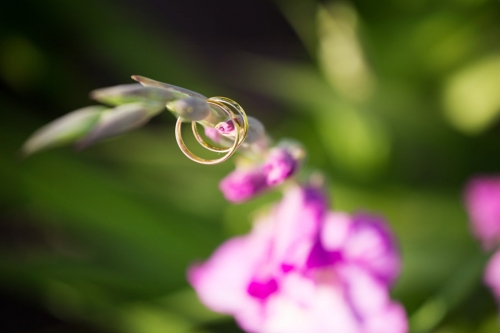 Foto paslaugos, fotografija Fotografė Jolita Kimsaitė