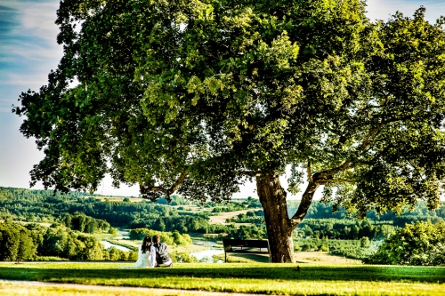 Foto paslaugos, fotografija Profesionali vestuvių fotografė!