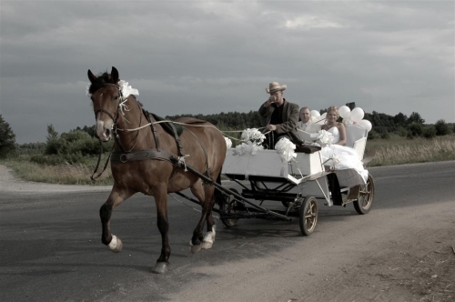 Fotoknyga, fotoalbumas FOTOKNYGA - jaunavedžiams!!! 