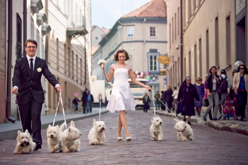 Foto paslaugos, fotografija FOTOFAZĖ.LT : Tiesiog norite savo gražių nuotraukų?!