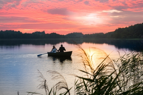 Sodybos, dvarai, vilos „Bitės vila“ Jūsų šventei