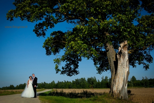 Foto paslaugos, fotografija Vestuvės tik 300eu