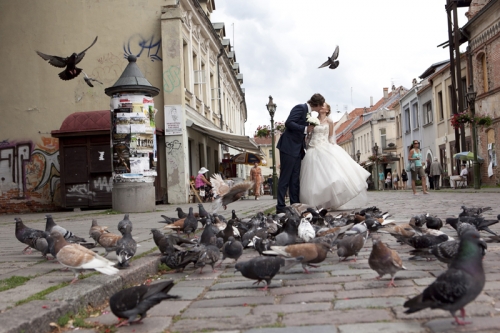 Foto paslaugos, fotografija Romantiškas vestuvių fotografavimas