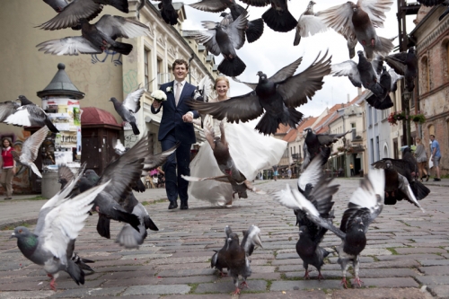 Foto paslaugos, fotografija Romantiškas vestuvių fotografavimas