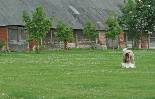 Fotoknyga, fotoalbumas vestuvine foto knyga