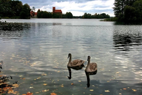 Foto paslaugos, fotografija Fotografas Vestuvėms - Walentinas Ronil