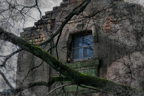 Foto paslaugos, fotografija Fotografas Vestuvėms - Walentinas Ronil