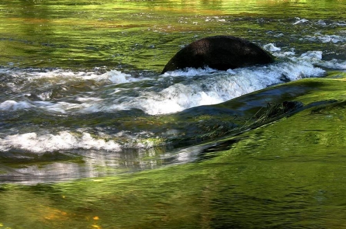 Foto paslaugos, fotografija Fotografas Vestuvėms - Walentinas Ronil