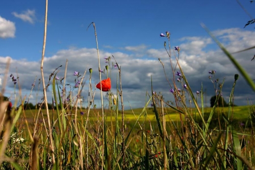 Foto paslaugos, fotografija Fotografas Vestuvėms - Walentinas Ronil