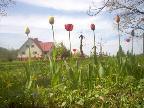 Sodybos, dvarai, vilos Karpavičių sodyba