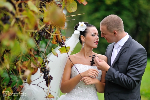 Foto paslaugos, fotografija Natūrali vestuvių fotografija