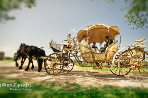 Foto paslaugos, fotografija Фот.граф Владимир Петров 