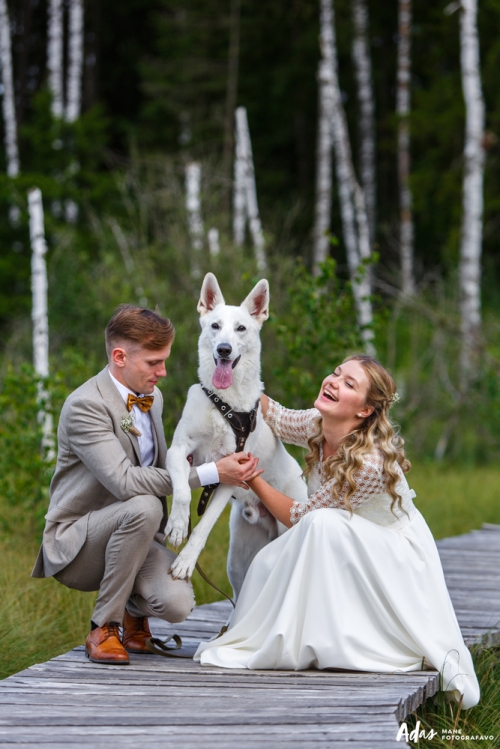 Foto paslaugos, fotografija Originalus vestuvių fotografas