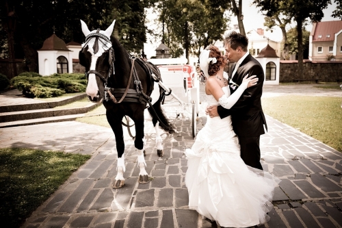 Foto paslaugos, fotografija Elegantiška fotografija, nemokama priešvestuvinė sesija.