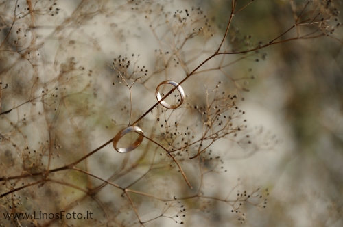 Foto paslaugos, fotografija www.LinosFoto.lt  ...prisiminimai ilgam...