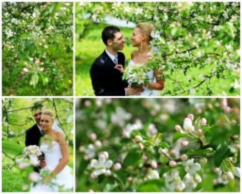 Foto paslaugos, fotografija Vestuvių fotografavimas 