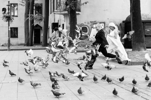 Foto paslaugos, fotografija darPRO Vestuvių fotografija