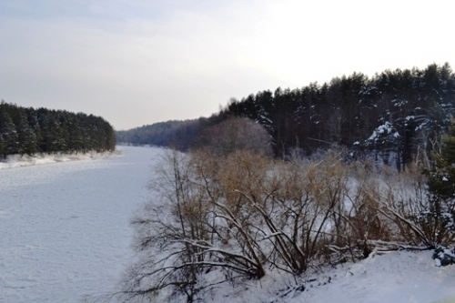 Sodybos, dvarai, vilos Kaimo turizmo sodyba, prie neries kranto vestuvėms. 