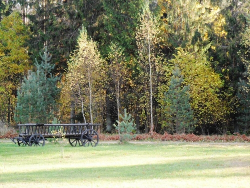 Sodybos, dvarai, vilos Sodyba "Prie ąžuolų" Jūsų šventėms