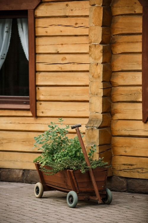 Sodybos, dvarai, vilos Sodyba "Prie ąžuolų" Jūsų šventėms