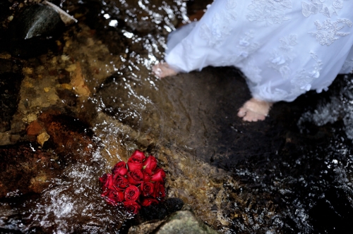 Foto paslaugos, fotografija Profesionalus fotografas Vaidas Garla