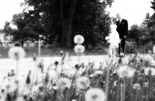 Foto paslaugos, fotografija Vestuvių fotografija