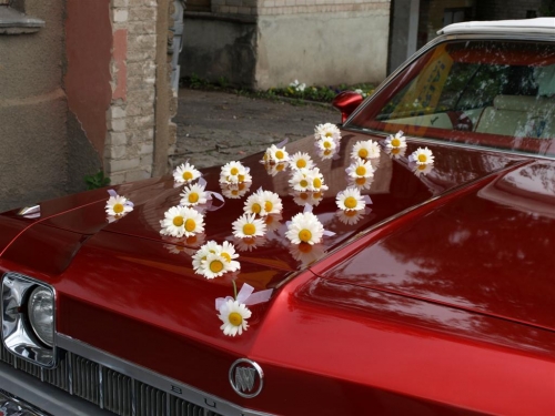 Vestuvinės puokštės Vestuvių floristika, puokštės jauniesiams, pamergėms bei svočiai,