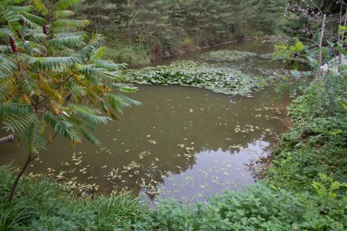 Sodybos, dvarai, vilos Jauki sodyba 7km nuo Kauno