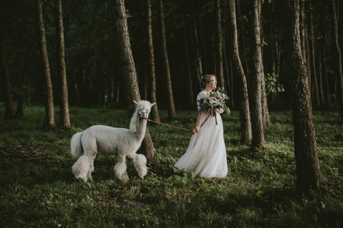 Foto paslaugos, fotografija Balti rėmeliai - šiuolaikiška vestuvių fotografija!