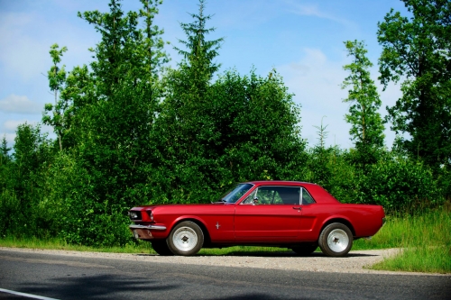 Automobilių nuoma 1965 Ford Mustang