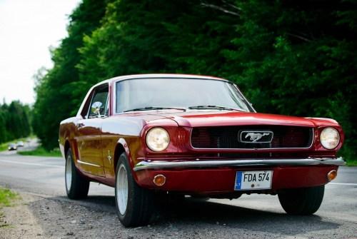 Automobilių nuoma 1965 Ford Mustang