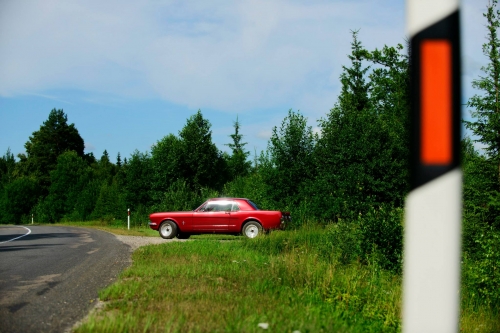 Automobilių nuoma 1965 Ford Mustang