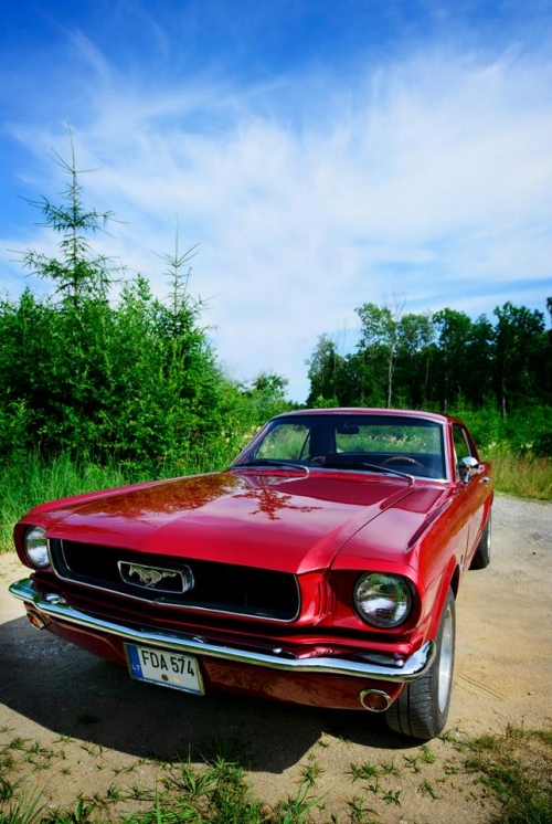 Automobilių nuoma 1965 Ford Mustang