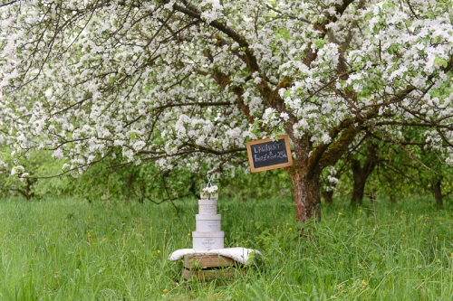 Puošimas Vestuvių dekoro, stilistikos kūrimas, planavimas ir koordinavimas