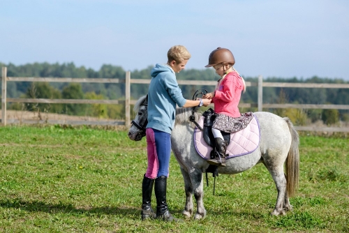 Sodybos, dvarai, vilos Dvaras "Provansalis" - stilinga vieta šventei!