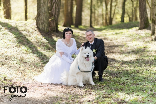 Foto paslaugos, fotografija Vestuvių fotografas. Įamžinsime Jūsų laimę!