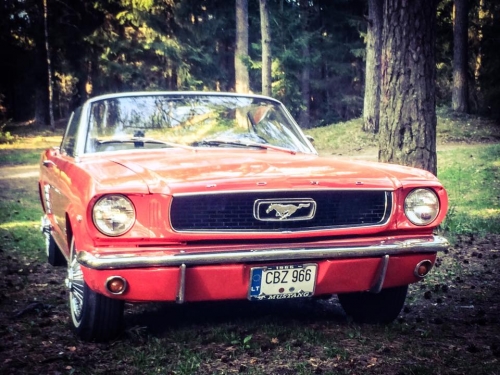 Automobilių nuoma FORD MUSTANG 1966 Kabrioletas | Raudonas