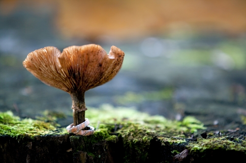 Foto paslaugos, fotografija Vestuvių, krikštynų fotografavimas