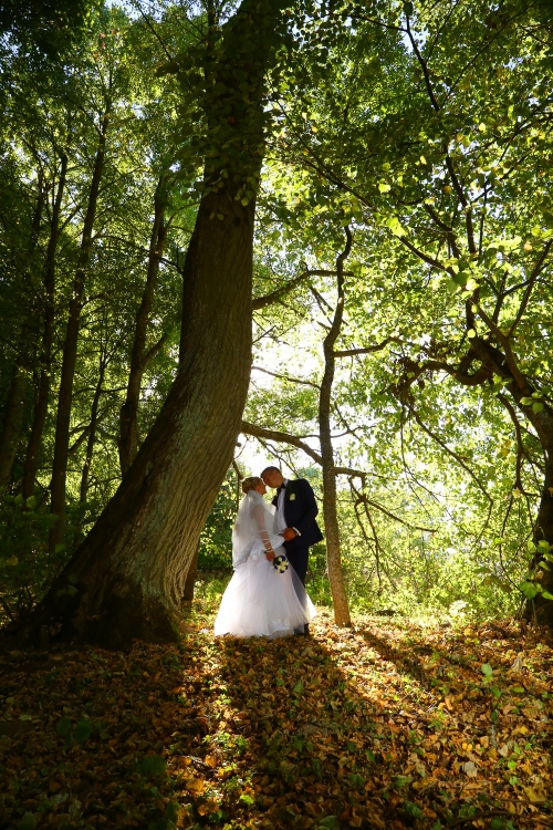 Foto paslaugos, fotografija Vestuvių fotografas