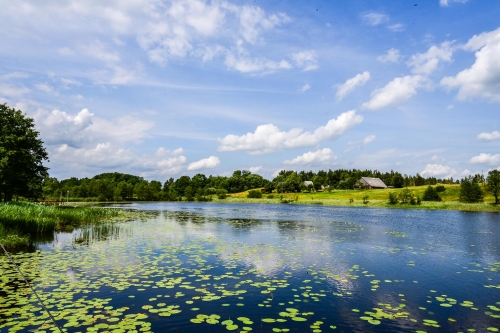 Sodybos, dvarai, vilos Nauja sodyba ant Maudučio ežero kranto, Plateliuose.