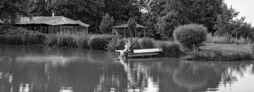 Foto paslaugos, fotografija Ed_Mukas - Jūsų fotografas