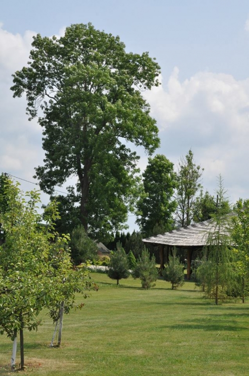 Sodybos, dvarai, vilos Kaimo turizmo sodyba "Uosių Paunksmėje"