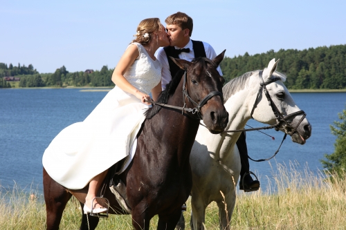 Kitos vestuvių prekės ir paslaugos Žirgų nuoma fotosesijoms