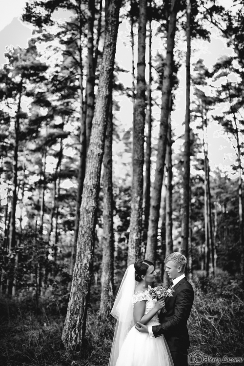 Foto paslaugos, fotografija Vestuvių/krikštynų bei kitų progų fotografavimas